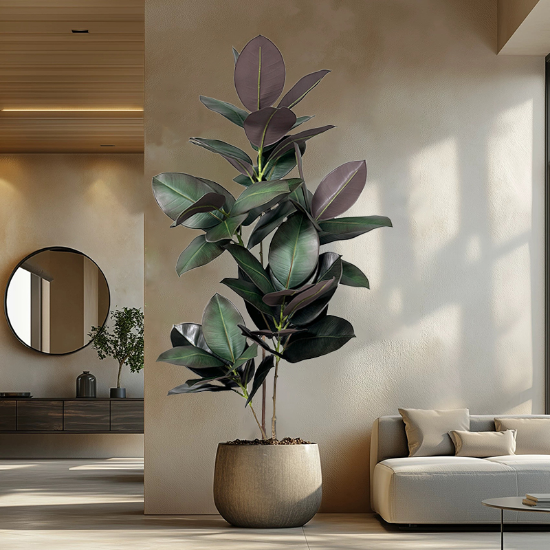 70-150cm Artificial Ficus Tree - Rubber Plant Ficus ulasan dan harga