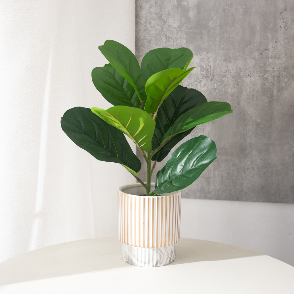 38cm 9 Forks Artificial Ficus  - Rubber Plant Ficus ulasan dan harga