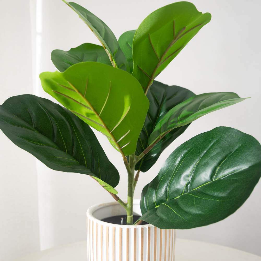 38cm 9 Forks Artificial Ficus  - Rubber Plant Ficus ulasan dan harga
