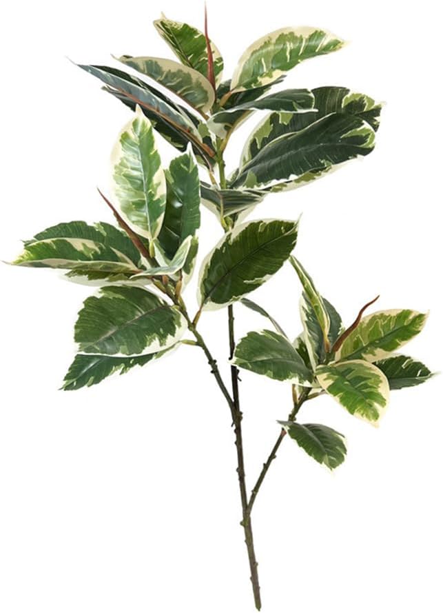 Ficus Tineke Artificial Plant  - Rubber Plant Ficus ulasan dan harga