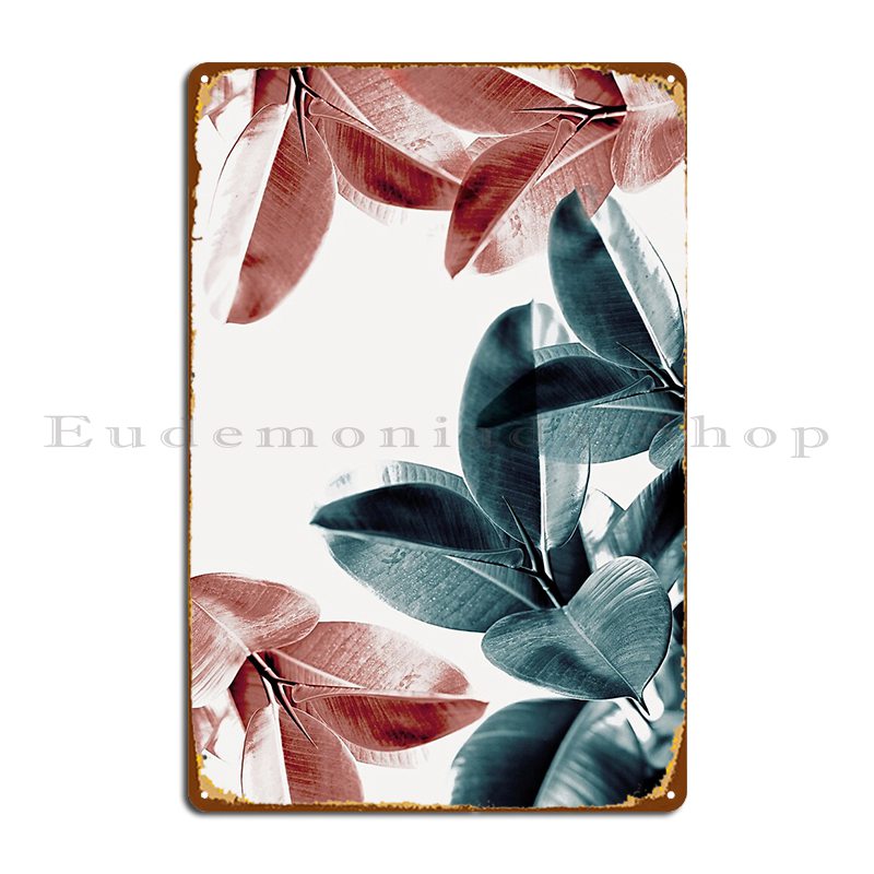 Rubber Plant Leaves Green And  - Rubber Plant Ficus ulasan dan harga