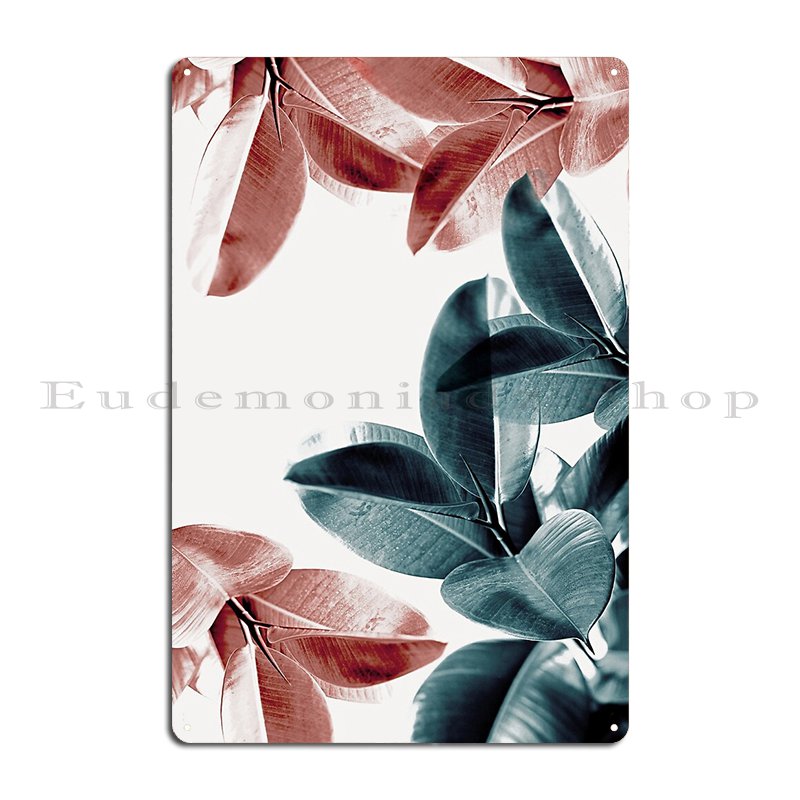 Rubber Plant Leaves Green And  - Rubber Plant Ficus ulasan dan harga