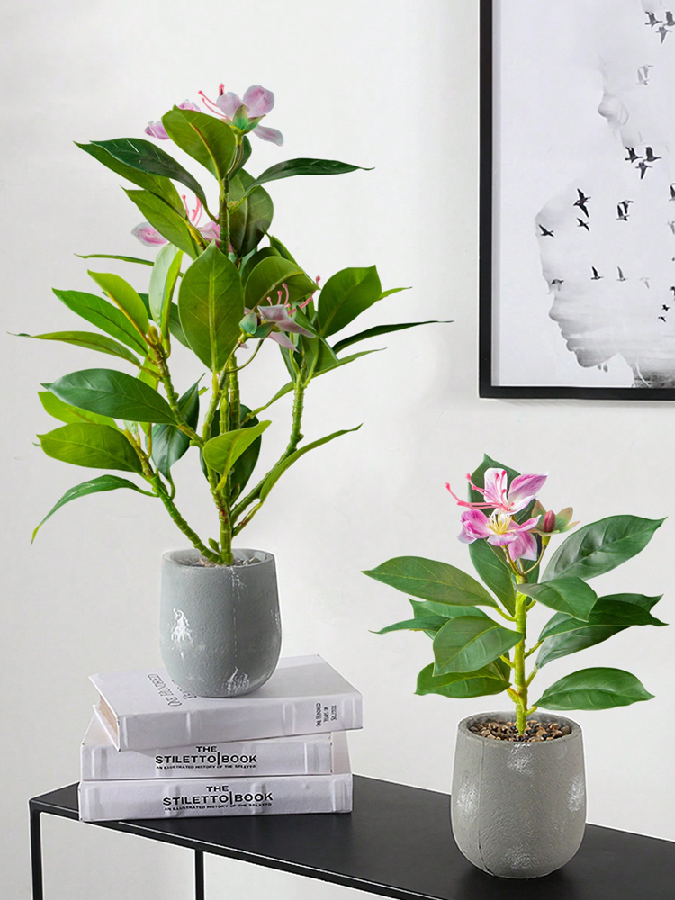 21-40cm Artificial Azaleas Pla - Rubber Plant Ficus ulasan dan harga