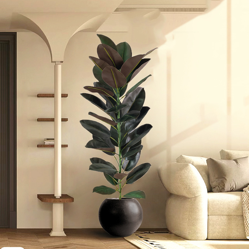 13-70in Large Ficus Tree Artif - Rubber Plant Ficus ulasan dan harga