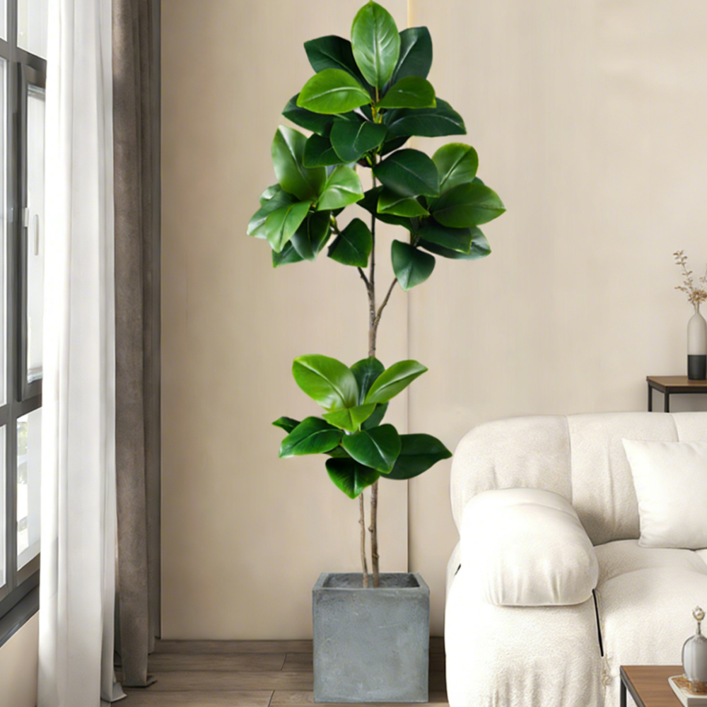 74-140cm Artificial Rubber Tre - Rubber Plant Ficus ulasan dan harga