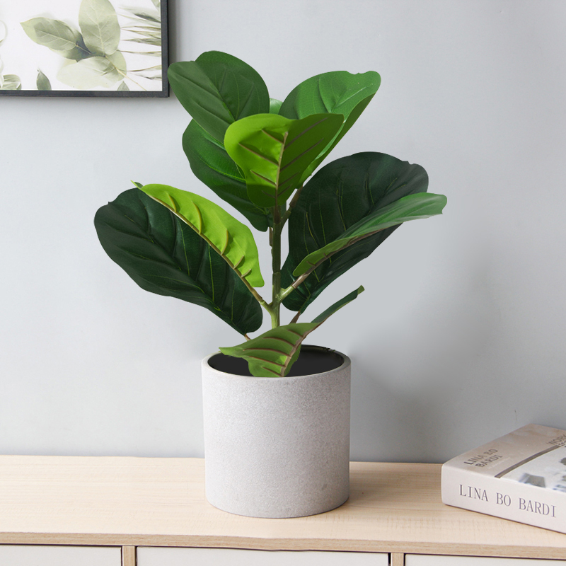 38cm Fake Ficus Tree Artificia - Rubber Plant Ficus ulasan dan harga